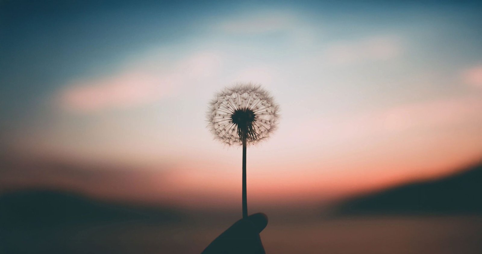 article_qu_est_ce_qu_une_hypnotherapie_individuelle